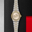 TUDOR Royal Watch - M2830A1A3-0003 at Lee Perla Jewelers