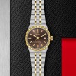 TUDOR Royal Watch - M2836C1A3-0001 at Lee Perla Jewelers