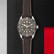 TUDOR Black Bay 58 Watch - M79010SG-0001 at Lee Perla Jewelers