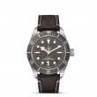 TUDOR Black Bay 58 Watch - M79010SG-0001 at Lee Perla Jewelers