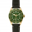 TUDOR Black Bay 58 Watch - M79018V-0001 at Lee Perla Jewelers