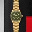 TUDOR Black Bay 58 - M79018V-0006 at Lee Perla Jewelers