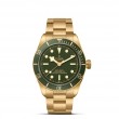 TUDOR Black Bay 58 - M79018V-0006 at Lee Perla Jewelers