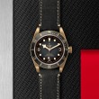TUDOR Black Bay Bronze Watch - M79250BA-0001 at Lee Perla Jewelers